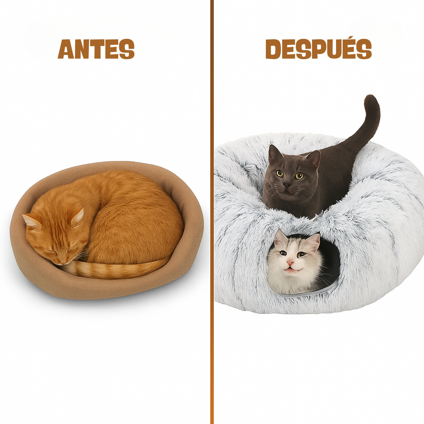 Cama 2 en 1 para gatos